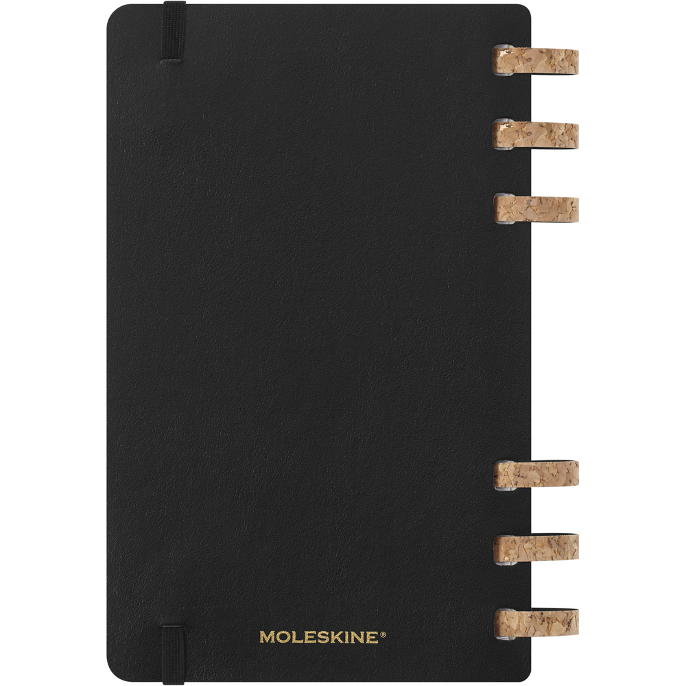 VM790.2026-03_IBK01